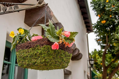 SuperMoss (29214D MossWeave Hanging Basket | Outdoor Hanging Planter with Moss | Decorative Plant Hanger for Porch, Balcony, Garden & Home Décor, Square with Wicker Rim, Large 14” D, Green