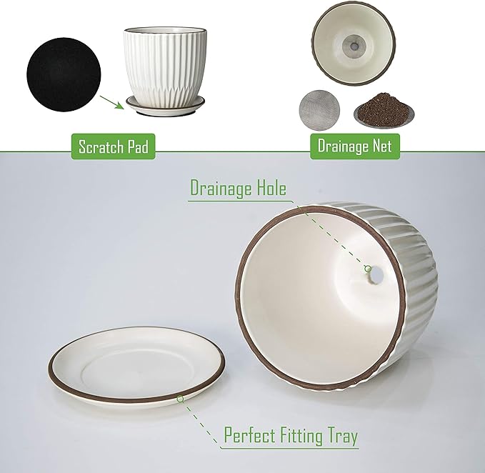 D'vine Dev Set of 2 Stoneware Planter Pots, Ceramic Pot with Drainage Hole and Saucers, 4.5 Inch 5.8 Inch, Ivory, 99-D-1