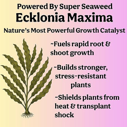 Organic Liquid Indoor Plant Food, Houseplant, Tropical & All-Purpose Indoor Plant Fertilizer, Organic Liquid Fertilizer 5-5-5 with Sea Kelp, 16oz Treats 110 Gallons