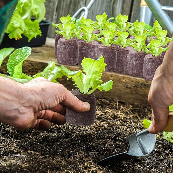 300 Pcs 50mm Seed Starter Peat Pellets Bulk for Compressed Seed Starting Pellets Seed Starter Pods Plugs Soil Peat Pods for Starting Seeds, Plant Transplant Grow Garden Flower Vegetables