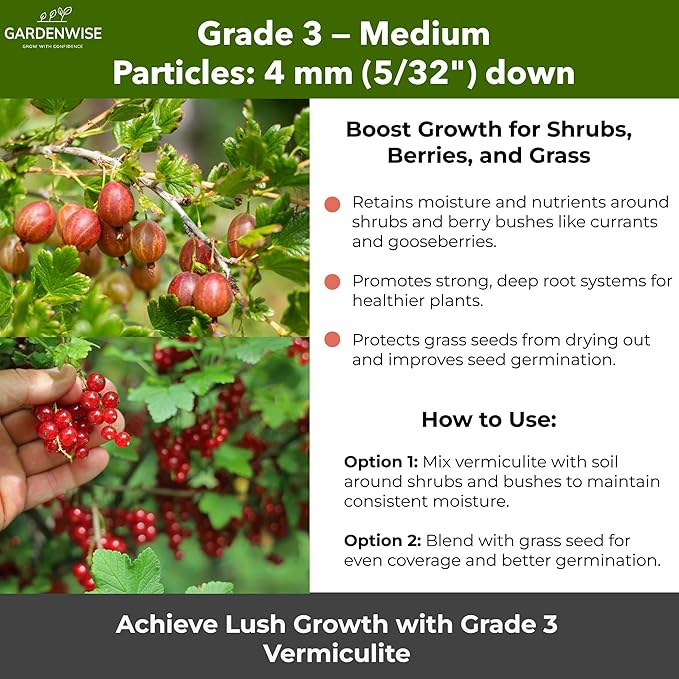 Organic Coarse Vermiculite for Indoor Gardening Plants and Mushrooms – Enhances Soil Aeration, Seed Germination, Rooting Cuttings – Small Packages and Bulk (Vermiculite Grade 3 – Medium, 1 qt)