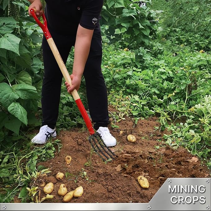 Garden Fork, 4-Tine Spading Digging Fork, Pitch Fork-45Inch, Forged Steel Y-Grip, Wood Handel-Red