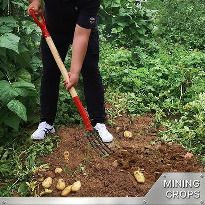 Garden Fork, 4-Tine Spading Digging Fork, Pitch Fork-45Inch, Forged Steel Y-Grip, Wood Handel-Red
