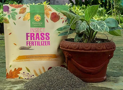 Insect Frass Fertilizer -100% Organic All-Purpose Plant Food & Soil Amendment, Natural Nutrients for Houseplants, Gardens & Lawns, 3 lb Bag