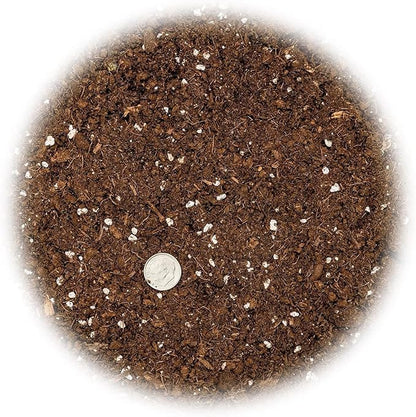 GARDENERA Premium Snake Plant Potting Soil Mix - 20 Quart - Green Sansevieria Trifascatia Zeylanica Plants, Plant or Re-Pot Your Snake Plant (4 Bags of 5 Quart)