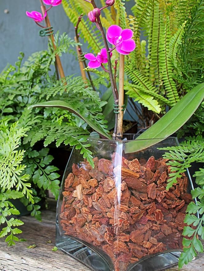 SuperMoss (23202) Orchid Potting Bark, Natural, 2oz