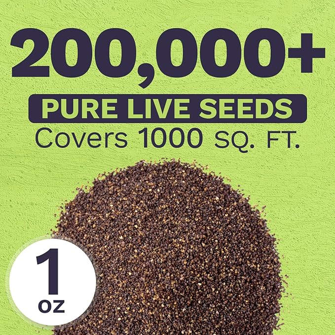 Red Poppy Seeds - Large 1 Ounce Packet - Over 200,000 Flower Seeds