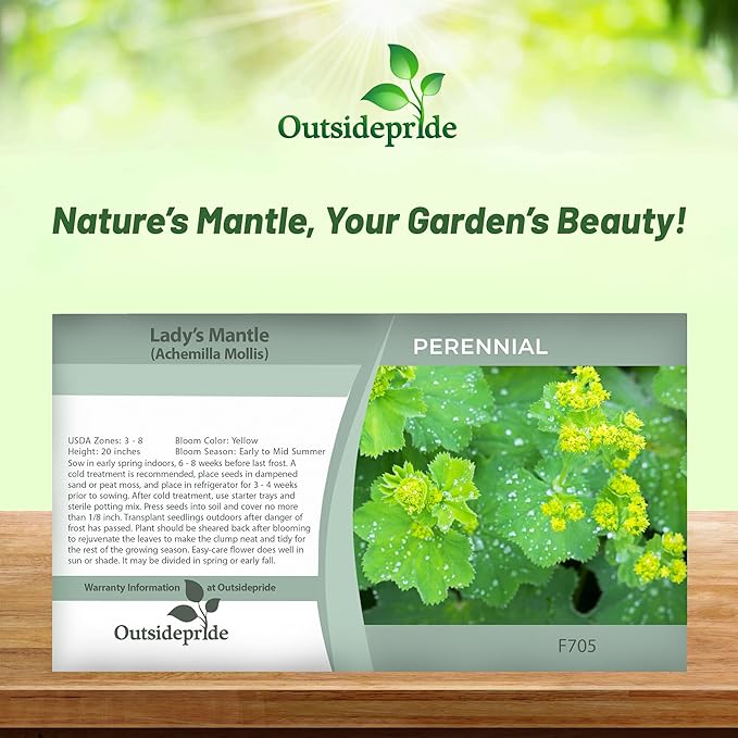 Outsidepride Lady's Mantle Seeds - 2000 Pcs. Perennial, Versatile & Low Maintenance, Flower Seeds for Planting Clustered Yellow Blooms with Velvety Foliage for Cut Flower Bouquets & Pollinator Gardens