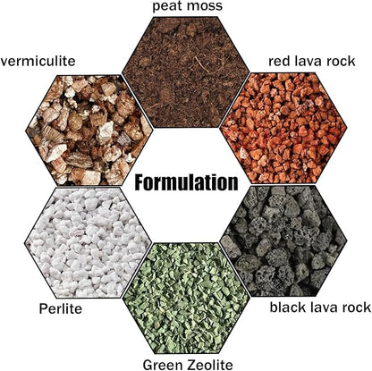Succulent & Cactus Soil Potting Mix 1qt, Natural Organic Potting Mix for Cactus, Succulent, Palm, and Citrus Grown in Containers Indoors and Outdoors
