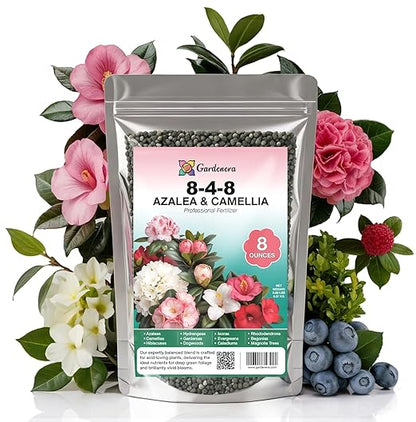 𝐁𝐄𝐒𝐓𝐒𝐄𝐋𝐋𝐄𝐑 Premium 8-4-8 Acidic Fertilizer for Azaleas, Camellias, Hydrangeas, Blueberries, Gardenias, Magnolia Trees, Evergreens and Rhododendrons - Ideal Iron-Rich Plant Food [8 OZ]