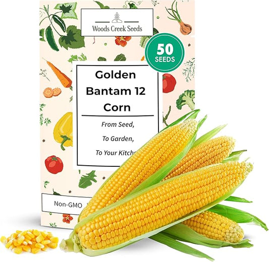 Woods Creek Seeds: Golden Bantam 12 Sweet Corn Seeds for Planting - Heirloom Sweet Corn Seed with Tender Yellow Kernels - Non-GMO, Open-Pollinated, Seed Pack for Field and Home Gardening