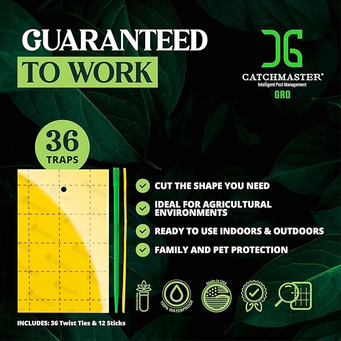 Catchmaster GRO Yellow Regular Double Sided Sticky Traps 36PK, Adhesive Bug & Fruit Fly Trap, Pest Control for Home, Farm, Garden, Hydroponics & Greenhouse, Protect Live Plants Indoor & Outdoor