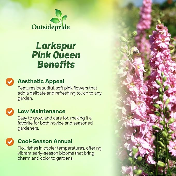 Outsidepride Delphinium Pink Larkspur Seeds for Planting Outdoors - 2000 Pcs Annual, Self-Seeding, Heat & Drought Tolerant Wildflower Seeds, Colorful Blooms for Flower Arrangement & Pollinator Garden