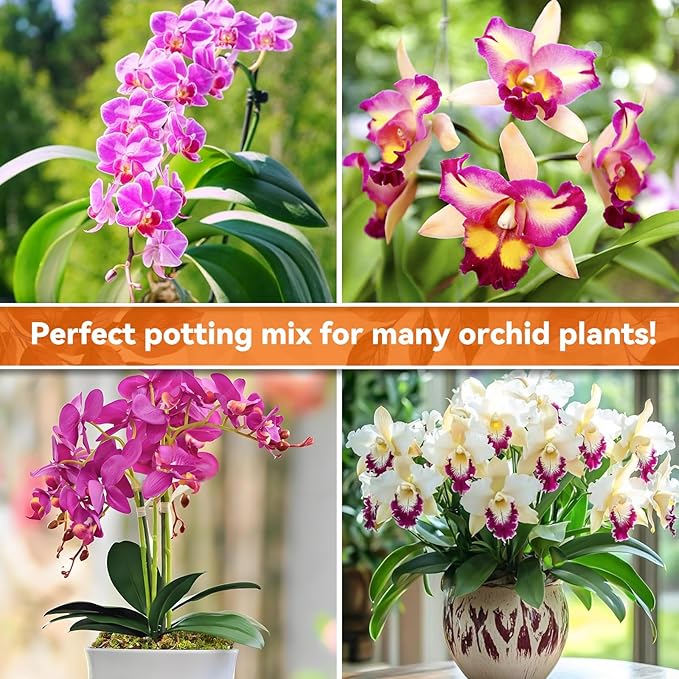 Riare 2QT Orchid Potting Mix for Repotting- Orchid Repotting Kit Include Moss, Pine Bark, Perlite, Coco Peat- Premium Orchid Soil Medium for Indoor Potted Plants Root Ventilation & Expanding