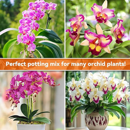 Riare 2QT Orchid Potting Mix for Repotting- Orchid Repotting Kit Include Moss, Pine Bark, Perlite, Coco Peat- Premium Orchid Soil Medium for Indoor Potted Plants Root Ventilation & Expanding