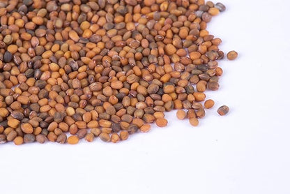 Vegetable and Herb Seeds Variety Pack for Home Garden Planting, AB