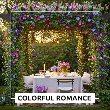 Morning Glory (Kikyo-Zaki Mix) Climbing Vine Seeds – 100 Premium Seeds for Planting – Fast-Growing, Colorful Mix of Purple, Blue, and Pink Blooms – Ideal for Fences, Trellises, and Garden Décor