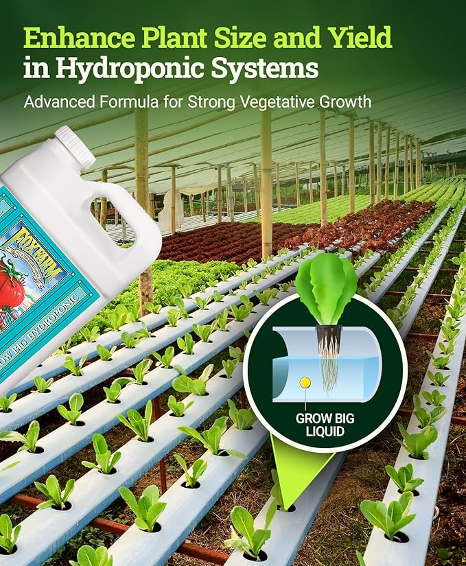 FoxFarm Grow Big Hydro Liquid Fertilizer, Plant Food with Micro Nutrients for Hydroponic Systems - Enhances Vegetative Growth, Flowering, and Fruiting - pH Adjustable, NPK 3-2-6 (2.5 Gallons)