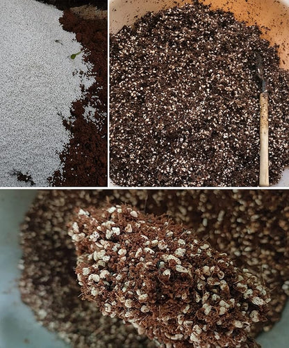 2 QT Professional Grade Horticultural Organic Perlite (2 QT, Perlite)