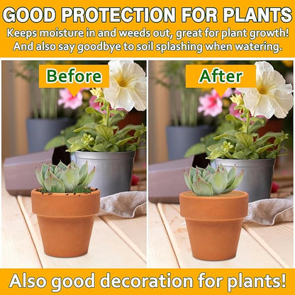 ZeeDix 10 Pack Coconut Fiber Mulch Ring, 6 Inch Coco Coir Tree Ring Mulch Mat, 100% Natural Tree Protector Mat Plant Cover Ring Coconut Coir Discs Tree Mats Mulch Rings for Indoor Outdoor Trees Plants