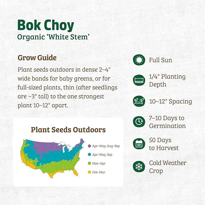 Back to The Roots 100% Organic Seed Packet - Bok Choy 'White Stem' 500mg