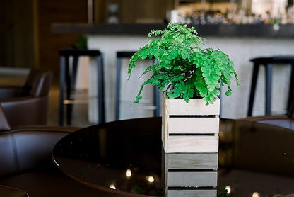 Wood Planter Box with Wine Crate Styled, 5 Inch Square, Rose Wood, Plastic Liner, Garden Centerpiece Display, Wedding Flowers Holder, Home and Venue Decor (5x5 Wine Crate Set of 4, Rose Wood)