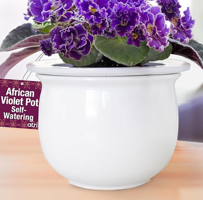 African Violet Pots Self Watering – 6.5”W x 4.6”H Ceramic Self Watering Pots for Indoor Plants with Glazed White Outer Pot & Absorbent Inner Pot for Easy Plant Care