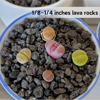 7lb Black Lava Rock for Plant, 1/8-1/4 inch Horticultural Volcanic Rock Soil for Decorative Landscaping Bonsai, Cacti, Succulents Plants Top Dressing for Release Excess Water