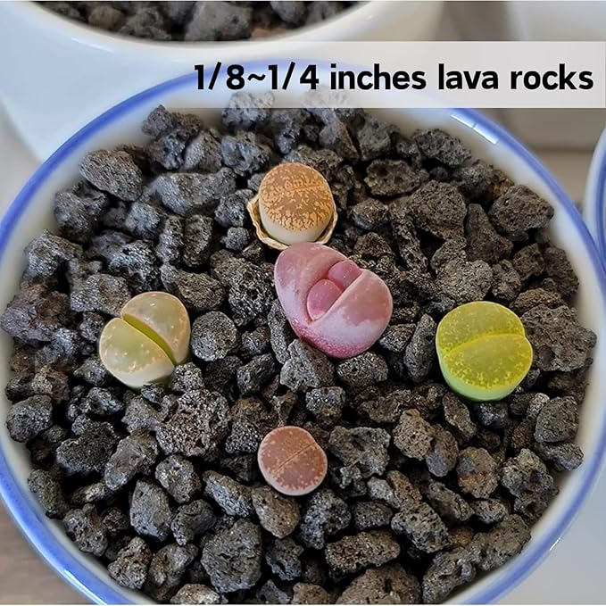 18lb Black Lava Rock for Plant, 1/8-1/4 inch Horticultural Volcanic Rock Soil for Decorative Landscaping Bonsai, Cacti, Succulents Plants Top Dressing for Release Excess Water