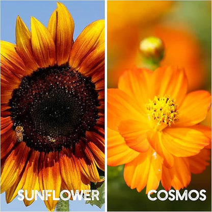 Flower Garden Seed Collection - 12 Varieties of Flower Seeds for Planting, ~6,000 Seeds - Includes Zinnia, Marigold, Poppy, Cosmos, Sunflower, Painted Daisy, Nasturtium, Lavender, Calendula & More