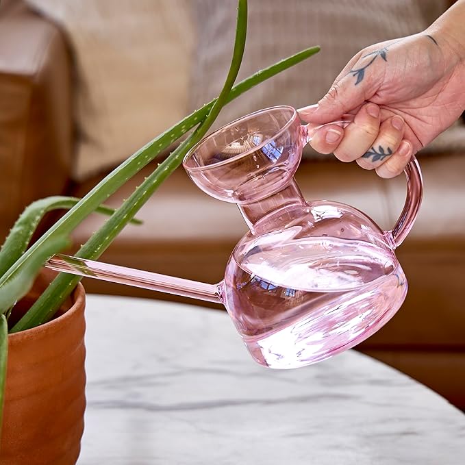 Modern Sprout Plant Watering Can - Handcrafted from Borosilicate Glass - Long Spout Vessel for Indoor Plants - 32 Oz Capacity - Multipurpose Watering Can and Flower Vase for Houseplants (Blush)