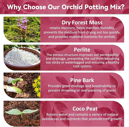 Riare 1QT Orchid Potting Mix for Repotting- Orchid Repotting Kit Include Moss, Pine Bark, Perlite, Coco Peat- Premium Orchid Soil Medium for Indoor Potted Plants Root Ventilation & Expanding