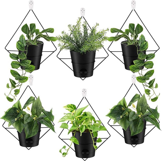 Baderke 6 Sets Wall Planters for Indoor Plants Hanging Wall Planter with Metal Holder Geometric Self Watering Wall Pots Mounted Succulent Pots, 5" Black Plant Container