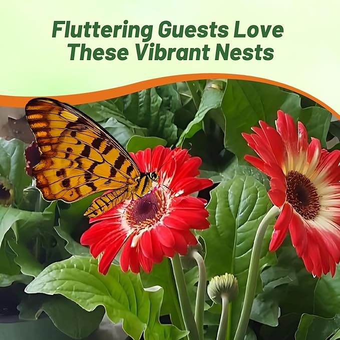 Outsidepride Bicolor Mix Gerbera Seeds - 10 Pcs Perennial, Compact & Low Maintenance, Flower Seeds for Planting w/Vibrant Mixed Blooms, Ideal for Garden Landscaping & Cut Flower Arrangements