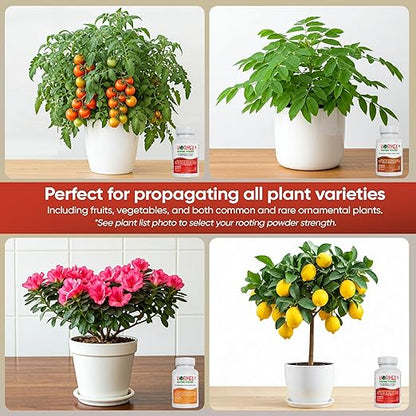 Hormex Rooting Powder Combo #3, 8, 16 (0.30-1.6 IBA) - Rooting Hormone for Common Home Garden Plants to Very Difficult Hardwood, Medicinal and Tree Cuttings - Root Stimulator for Plant Cloning