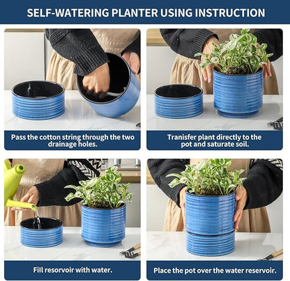 HASENSE Self Watering Pots for Indoor Plant, 6 Inch Porcelain Planter with Drainage Hole & Water Storage Plus for Indoor & Outdoor Plants, Round Flower Pot for Christmas Thanksgiving Gift, Blue