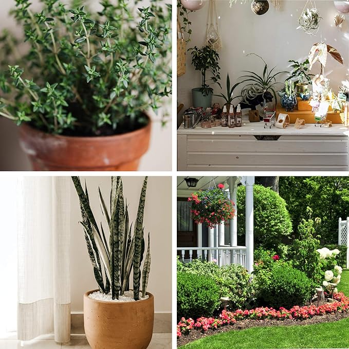 ZeeDix 100 Pcs (30mm) Compressed Coco Coir Fiber Potting Soil Seed Starters - Organic Coco Coir Pellet Fiber Soil for Planting Bonsai, Herbs, Plants, Flowers and Vegetables