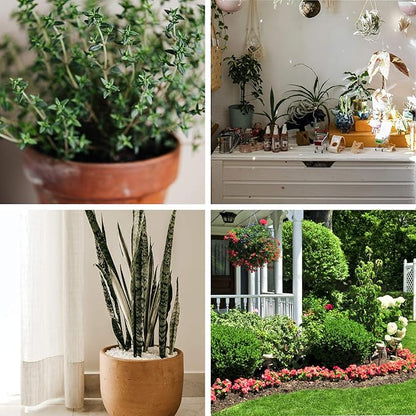 ZeeDix 100 Pcs (30mm) Compressed Coco Coir Fiber Potting Soil Seed Starters - Organic Coco Coir Pellet Fiber Soil for Planting Bonsai, Herbs, Plants, Flowers and Vegetables