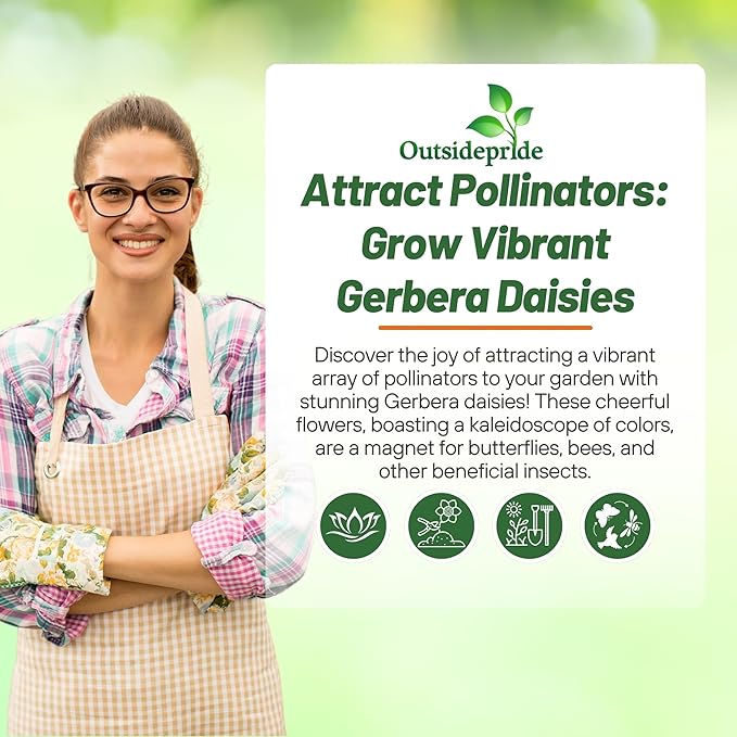 Outsidepride Hybrids Mix Gerbera Seeds - 200 Pcs Perennial, Compact & Low Maintenance, Flower Seeds for Planting w/Vibrant Mixed Blooms, Ideal for Garden Landscaping & Cut Flower Arrangements