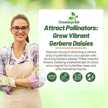 Outsidepride Hybrids Mix Gerbera Seeds - 200 Pcs Perennial, Compact & Low Maintenance, Flower Seeds for Planting w/Vibrant Mixed Blooms, Ideal for Garden Landscaping & Cut Flower Arrangements