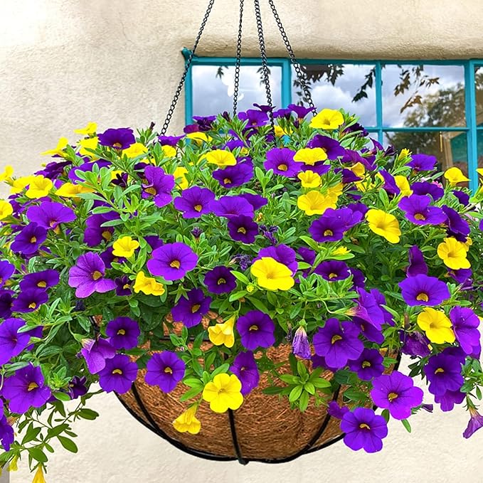 Halatool 2PCS 18Inch Coconut Liners - 100% Natural Coco Fiber Round Liners for Planters, Hanging Basket, Flowers, Vegetables