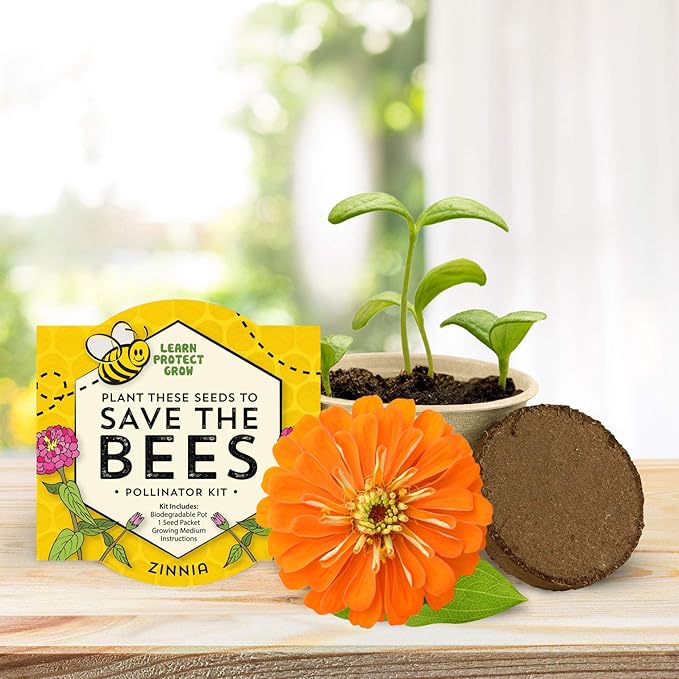 BUZZY Seeds Save The Bees Grow Kit, 12 Biodegradable Mini Flower Pots with Wildflower Seed Packets, Indoor Outdoor Planting Starter Set, DIY Gardening Gift, Sustainable Party Favors Adults