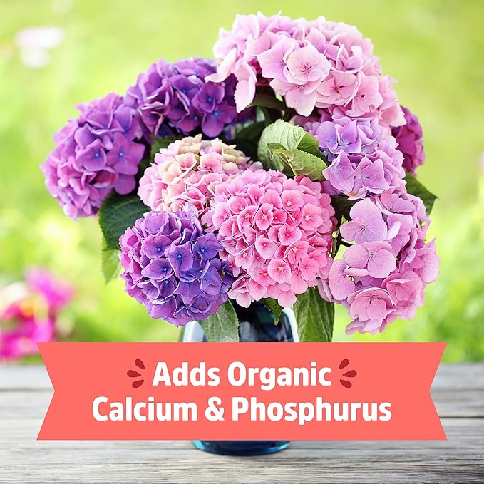 Back to the Roots Organic Bone Meal with Gypsum (3lb, Pack of 4)