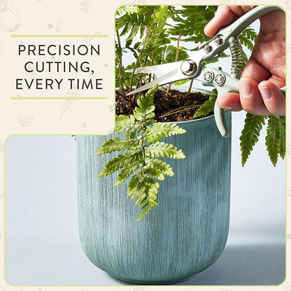 Modern Sprout Pruning Shears - Herb Snipping Scissors- Lightweight Gardening Tools W/Easy Lock - Flower Cutter Garden Shears - Carbon Steel Blade + Reusable Holster (Chartreuse, 1-Pack)