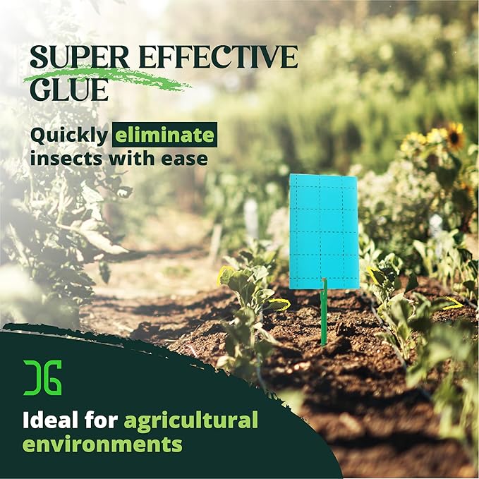 Catchmaster GRO Blue Regular Double Sided Sticky Traps 72PK, Adhesive Bug & Fruit Fly Trap, Pest Control for Home, Farm, Garden, Hydroponics & Greenhouse, Protect Live Plants Indoor & Outdoor