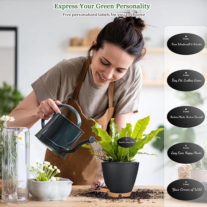 6 Inch Self Watering Pots for Indoor Plants (5-Pack) – Small Plastic Planters with Water Window, Drainage Holes & Trays, Indoor Outdoor Flower Pots for Herbs, Succulents, Home Garden Decor (Black)