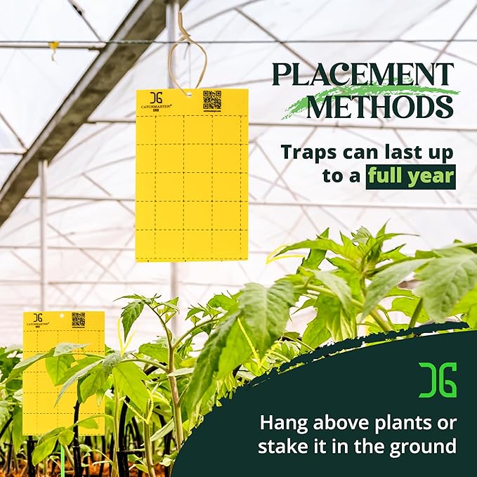 Catchmaster GRO Yellow Large Double Sided Sticky Traps 50PK, Adhesive Bug & Fruit Fly Trap, Pest Control for Home, Farm, Garden, Hydroponics & Greenhouse, Protect Live Plants Indoor & Outdoor