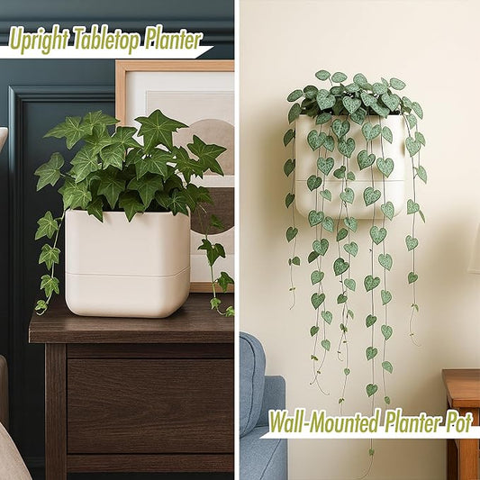 Phoenix Vine 6.5-Inch Wall Mounted Self-Watering Planter Pot for Indoor Houseplants and Herbs | Hanging Planter for Window Sills, Bathroom Walls, Home & Office Décor, Oatmeal, Set of 2, 01-WP-D-2