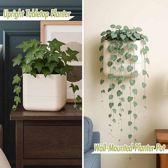 Phoenix Vine 6.5-Inch Wall Mounted Self-Watering Planter Pot for Indoor Houseplants and Herbs | Hanging Planter for Window Sills, Bathroom Walls, Home & Office Décor, Oatmeal, Set of 3, 01-WP-D-3