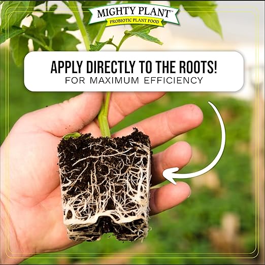Organic Root Enhancer 500 Spores/Gram Ultra-Concentrated Mycorrhizal Fungi – MycoRoots for Optimal Plant Growth & Health | Boost Soil Nutrient Absorption (1, Pounds)